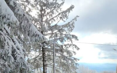 Mladi planinari na Samoborskom gorju