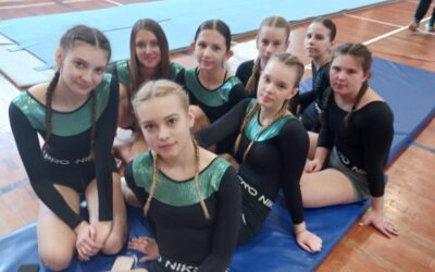 Županijsko natjecanje iz gimnastike
